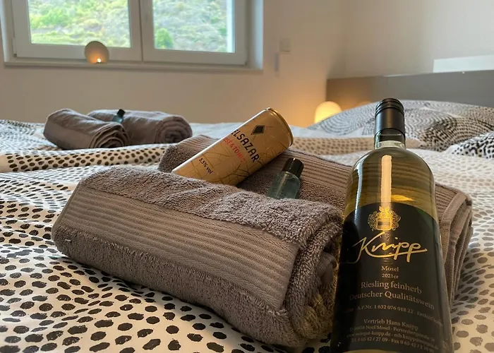 Moselpromenade Moselufer, Panorama Blick Auf Burg , Und Mosel, Balkon Апартаменты *